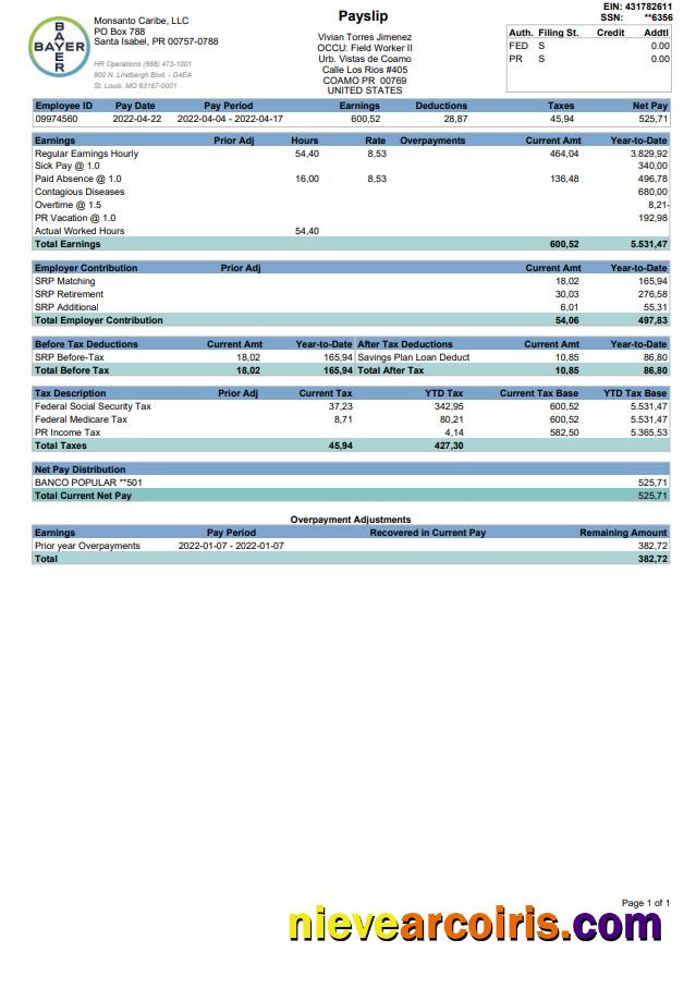 BAYER Paystub 2022